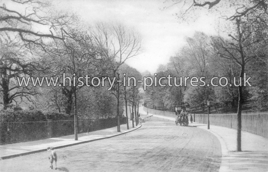 Muswell Hill Road, Muswell Hill, London. c.1905